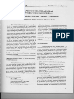 Diagnóstico de Inmunodeficiencias Primarias