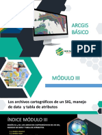 ArcGIS básico: Archivos cartográficos, manejo de datos y tablas de atributos