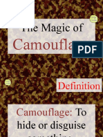 Camouflage-Introduction-TES