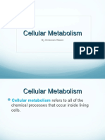 Cellular Metabolism: Energy Production and ATP