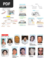 Vitropresión y diascopia en dermatología | PDF | Especialidades Medicas ...