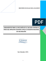 Lineamientos para La Inclusión de La Vacuna Contra El Virus Del Papiloma Humano (VPH) Al Esquema Nacional de Vacunación