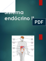 Sistema Endócrino II - FCMMG