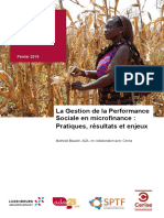 etude-sur-la-gestion-de-la-performance-sociale-en-microfinance.pdf