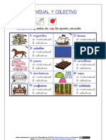 Individual y Colectivo (Arasaac)