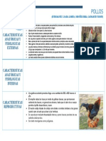 Caracterizacion Anatomica, Fisiologica y Reproductiva de Pollos