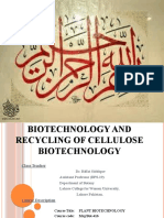 Lignocellulose Biotechnology
