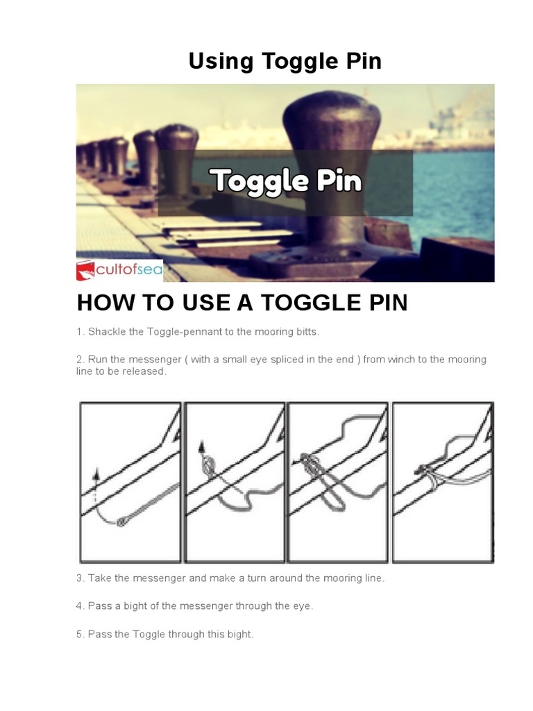 Using Toggle Pin PDF