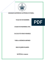 Maximos & Minimos PDF
