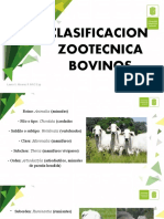 Clasificacion Zootecnica y Caract Carne