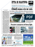 Gazzetta Mantova 25 Luglio 2010