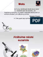 Celula Eucariotă