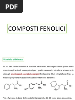 Composti Fenolici PDF