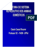 Anatomia-do-Sistema-Reprodutiva-dos-Animais-Domesticos.pdf