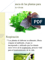 Importancia de Las Plantas