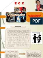 5 Crimen Organizado PDF