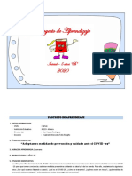 PROYECTO DE APRENDIZAJE - Secundaria