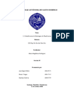 3.3 Identificación de Estrategias de Planificación