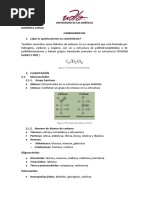 carbo.docx