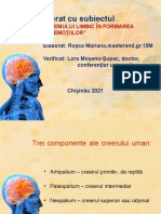 Rolul Sistemului Limbic În Formarea Emoțiilor