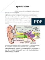 proiect tamama.docx