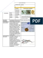 Parasitología 