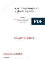 TD 2 Exploration Morphologique de La Glande Thyroide 1