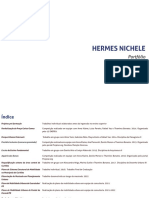 Portfólio - Hermes Nichele