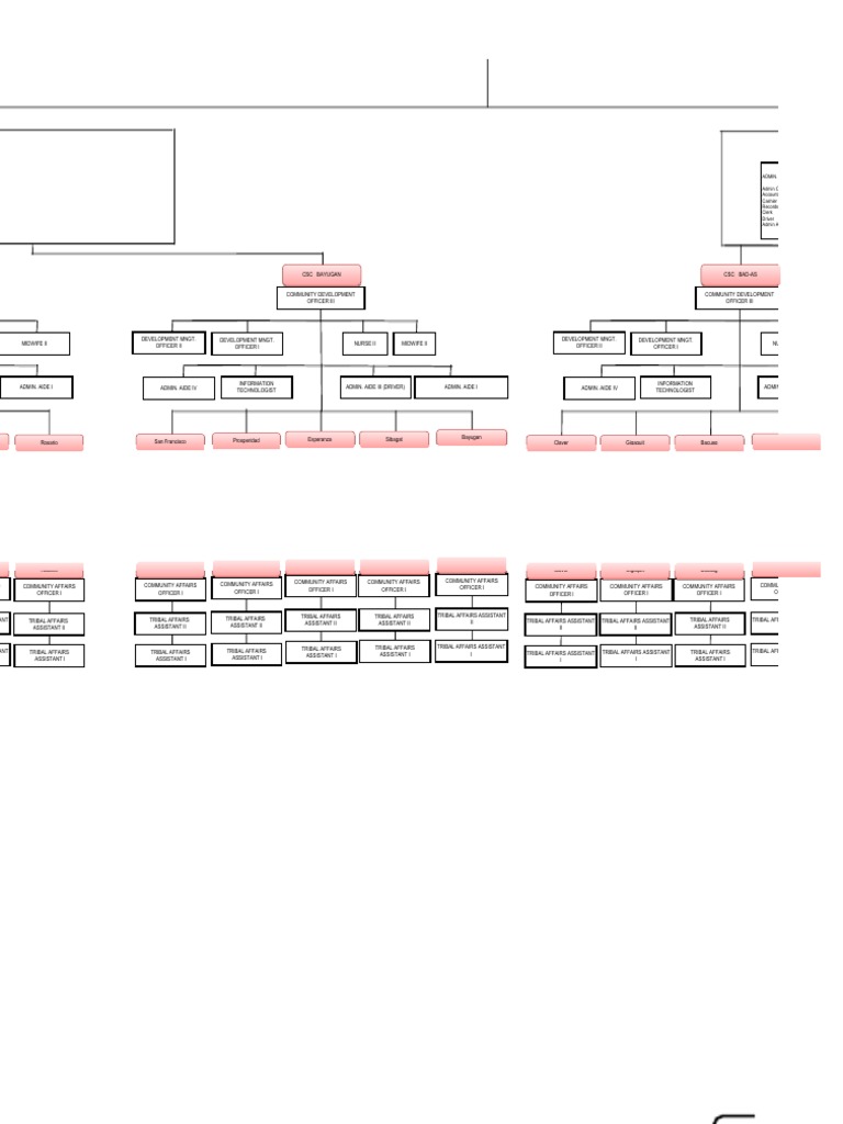 NCIP Organizational Structure | PDF | Employment | Accounting