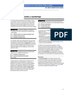 Ejercicio Formativo Cavidad Nasal Faringe Laringe