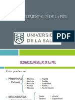 LESIONES ELEMENTALES DE LA PIEL UNISA.pdf