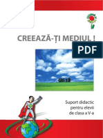 Creeaza-Ti Mediul Copii Clasa 5