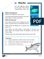 Sharks Differentiated Reading Comprehension Activity PDF