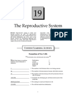 Reproductive System