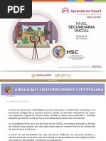 Seba HSC enero.pdf