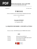 2013TOU33002.pdf
