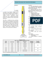 Production and Test Packer Retrievable