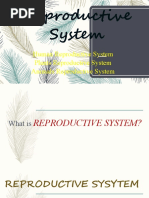 Reproductive System HUMAN