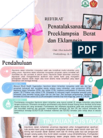 Referat Penatalaksanaan Peb Dan Eklampsia