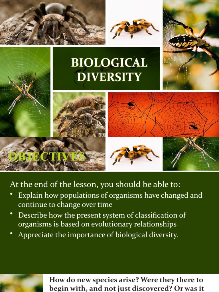 Biological Diversity PDF Natural Selection Evolution