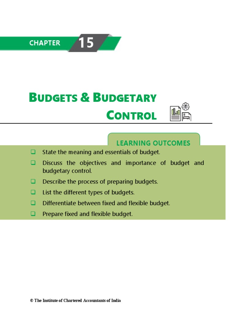 Budget PDF | PDF | Management Accounting | Budget