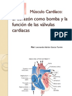 Musculo Cardiaco