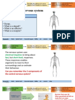 The Nervous System: Starter