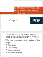 Overview of Transaction Processing and Enterprise Resource Planning Systems