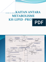 Metabolisme KH-P-L