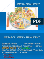 Metabolisme KH-10