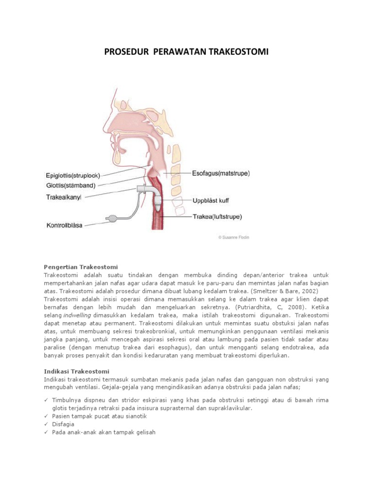 Prosedur Perawatan Trakeostomi | PDF