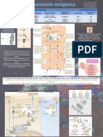 Ejemplo Infografía