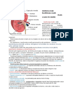 Document INSUFICIENTA RENALĂ