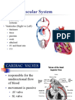 Cardio & Renal Physio
